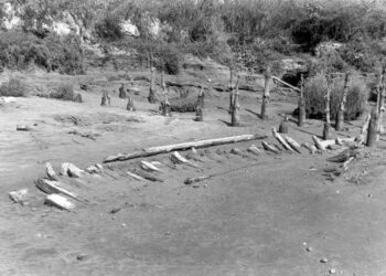 El barco vikingo del Guadalquivir
