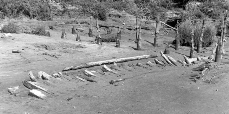 El barco vikingo del Guadalquivir